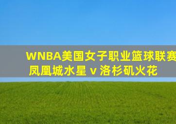 WNBA美国女子职业篮球联赛 凤凰城水星 v 洛杉矶火花